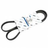 Ремінь приводу генератора та помпи Focus data-src-small