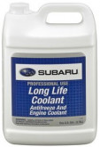 Антифриз концентрат Antifreeze Long Life Coolant 3.78л data-src-small