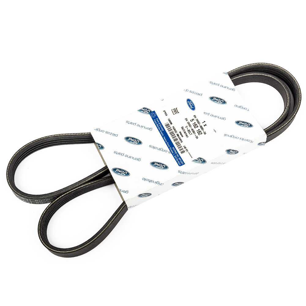 Ремінь приводу генератора та помпи Focus