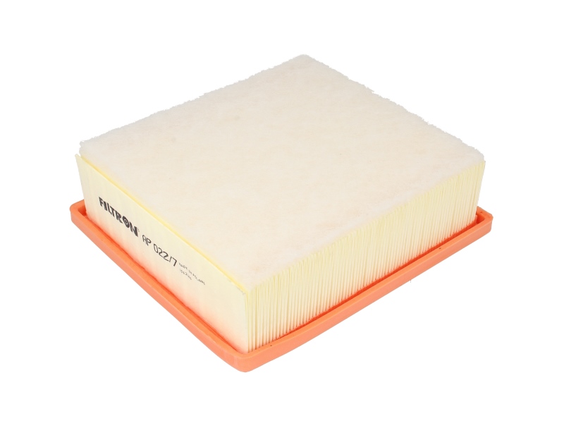 Фільтр повітряний Renegade